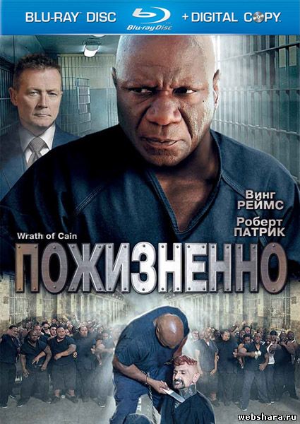 /Posters/pozhuznenno_the_wrath_of_gain_2010_hdrip.jpg